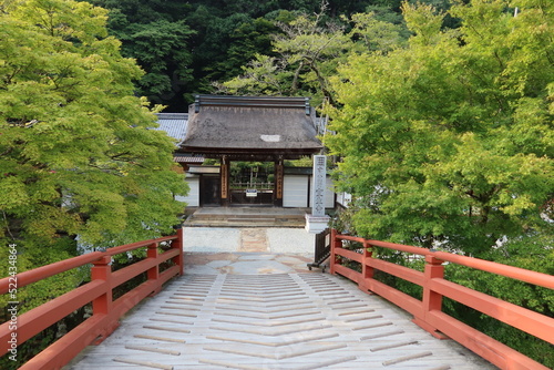 Japanese shrines and temples : the archied bridge at the entrance of the precincts of Murou-ji Temple in Uda City in Nara Prefecture 日本の神社仏閣：奈良県宇陀市にある室生寺と境内入り口の太鼓橋　　