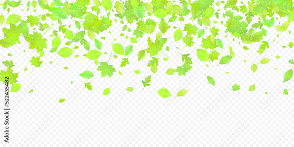 Leaves Falling Spring Flying Foliage Green Leaf