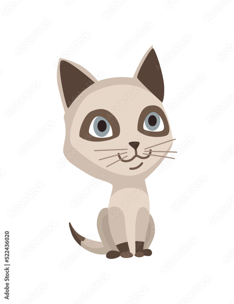 Naklejka premium Cartoon cat character. Siamese colorpoint pet. Adorable domestic cat sitting. Funny happy and playful animal. Cute two color kitten