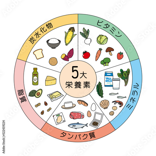 5大栄養素　食材　食べ物　栄養バランス　成分　イラスト