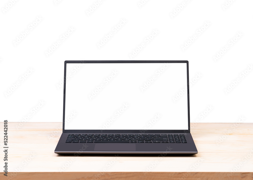 Blank screen laptop computer Blank screen laptop computer