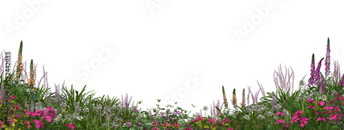 Tablou canvas Flower garden and grass on a transparent background