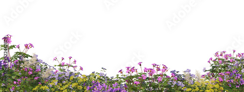 Fototapeta Naklejka Na Ścianę i Meble -  Flower garden and grass on a transparent background