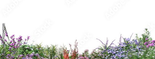 Flower garden and grass on a transparent background