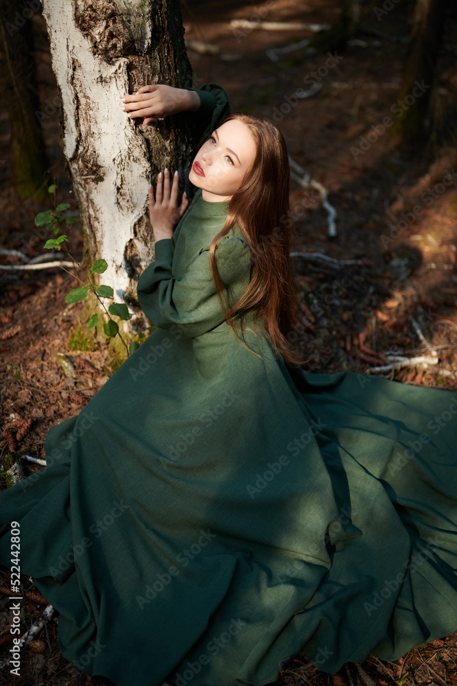 Fototapeta premium fairy tale heroine