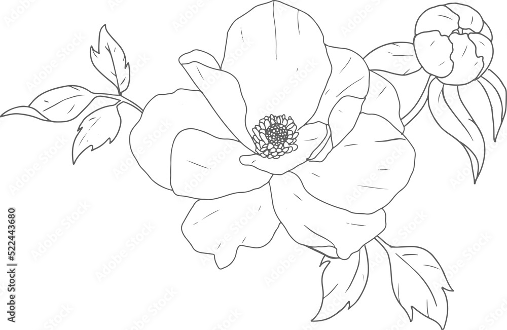Obraz premium doodle line art peony flower bouquet elements