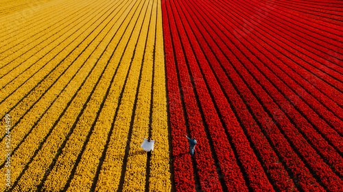 Para w polu tulipanów