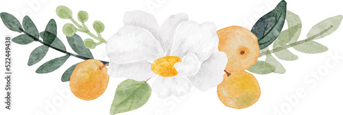 watercolor white flower and orange fruit bouquet