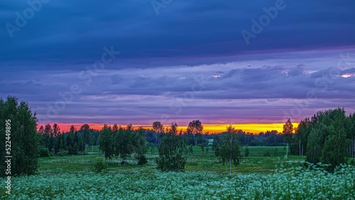 Beautiful landscape view of blue clouds passing by in timelapse over green meadows along birch trees in rural countyrside during evening time. photo