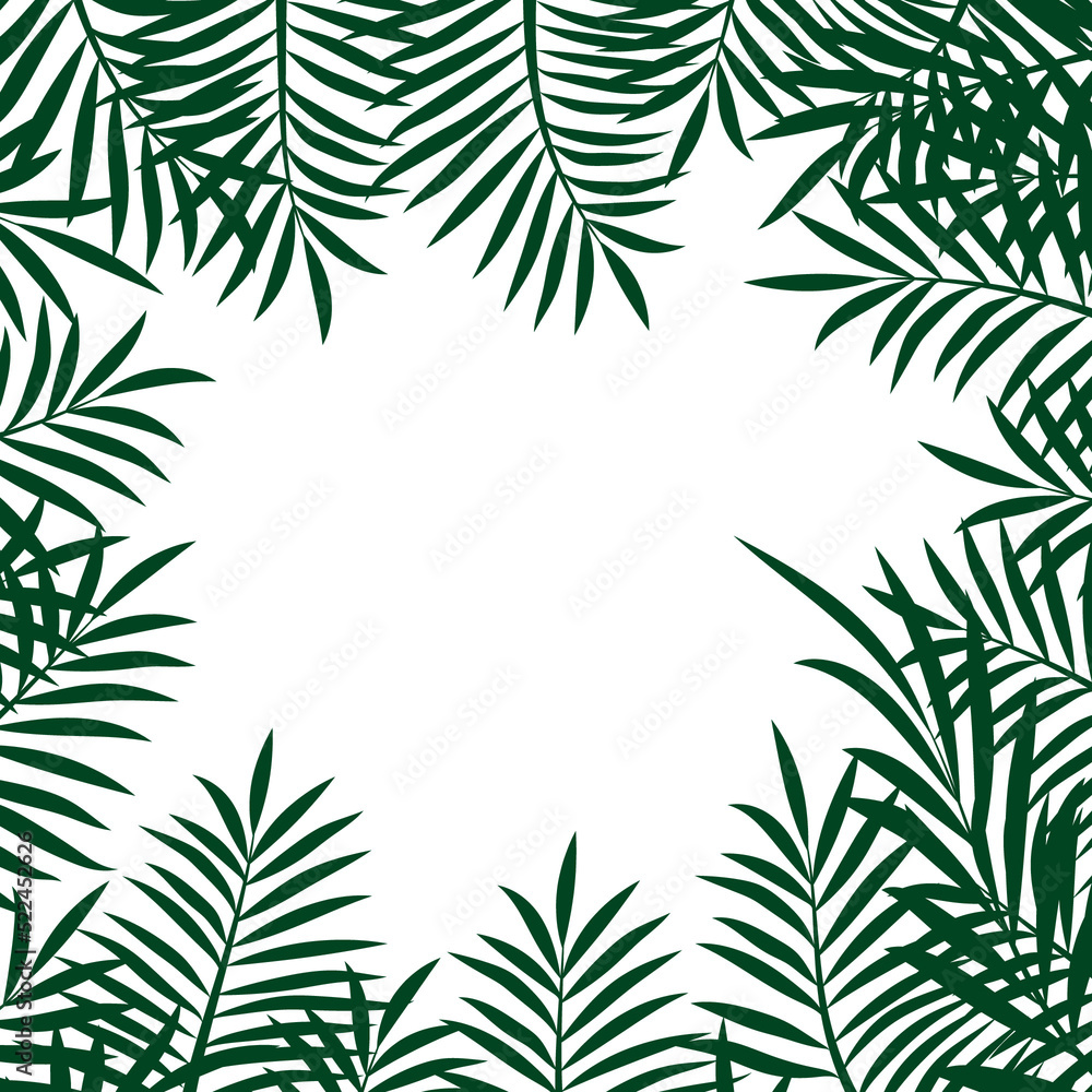 palm leaves on a transparent background png