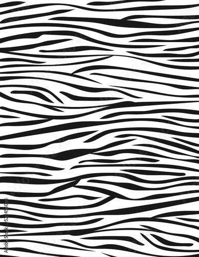 Black and White Zebra Skin Background