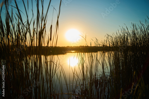 Sunset over a rural river with tussocks in the foreground out of focus
