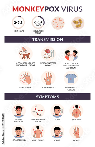 Monkeypox virus transmission and symptoms flat vector infographic. ..Fever, headache, backpain, rash. Outbreak infections photo