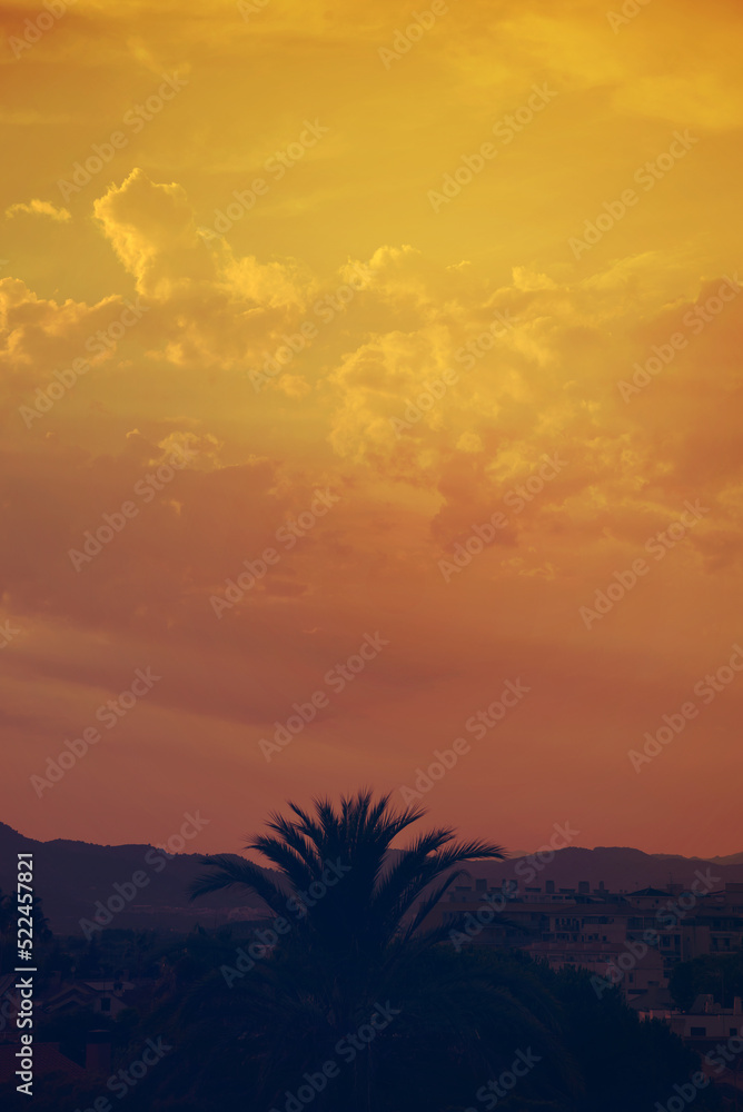 Fototapeta premium Atardecer en la playa
