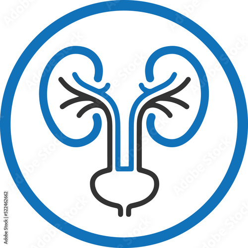 Urology icon, biology icon vector