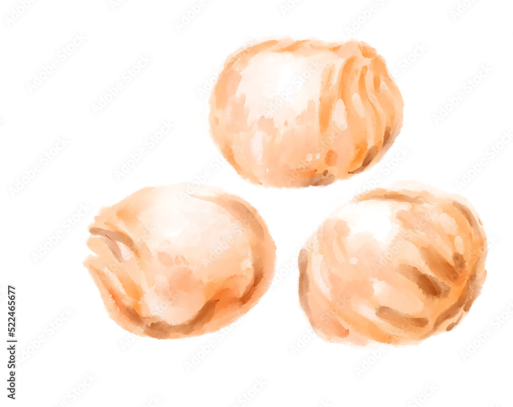 Chinese food ga gao shrimp dumplings dim sum yum cha watercolor painting illustration Chinese food ga gao shrimp dumplings dim sum yum cha watercolor painting illustration