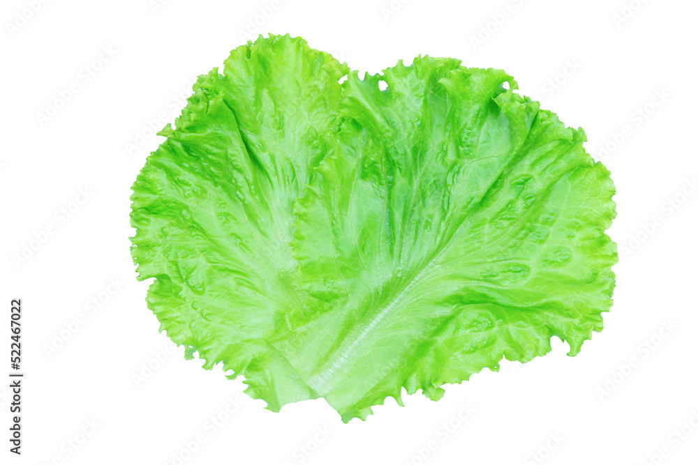 Salad leaf. Lettuce isolated on white background with clipping path Salad leaf. Lettuce isolated on white background with clipping path