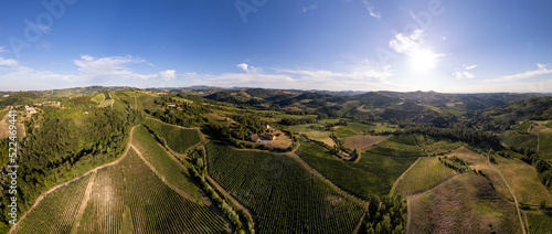 Aerial view of vineyards and farmland in summer, Pavia, Lombardy, Italy photo