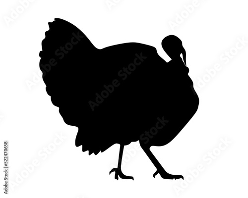 Turkey silhouette isolated on white background.