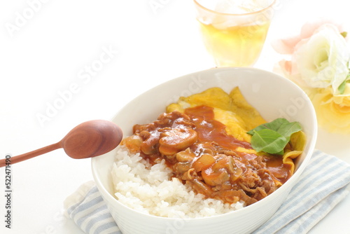 Beef stew and scrambled egg on rice with copy space