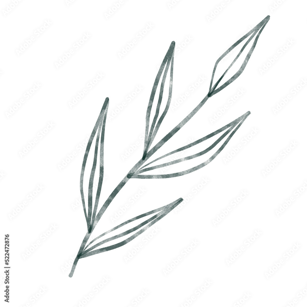 Obraz premium leaf in watercolor