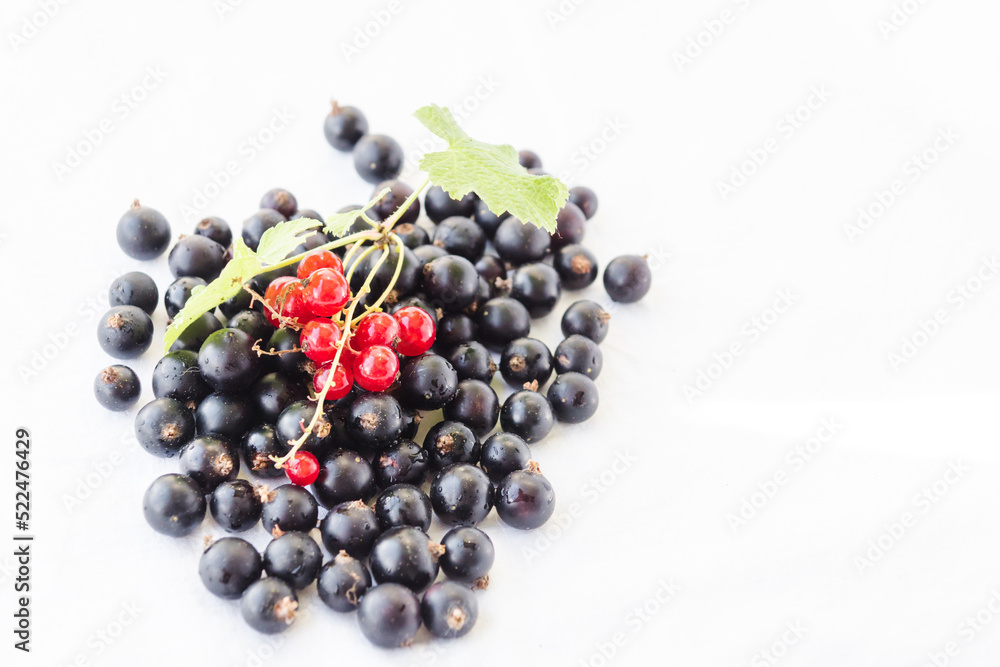 Mix of black and red currants with water drops and green leaves. Blackcurrants, redcurrants isolated on a white background closeup. Currant organic berries harvest - healthy eating and food concept Mix of black and red currants with water drops and green leaves. Blackcurrants, redcurrants isolated on a white background closeup. Currant organic berries harvest - healthy eating and food concept