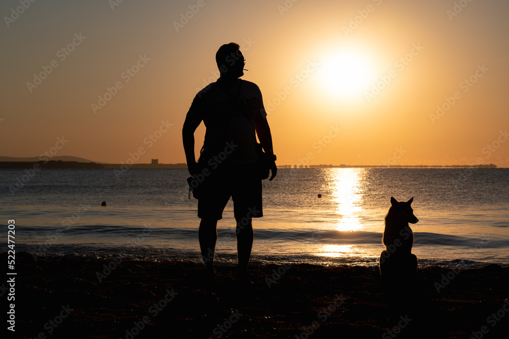 Dog and man silhouette