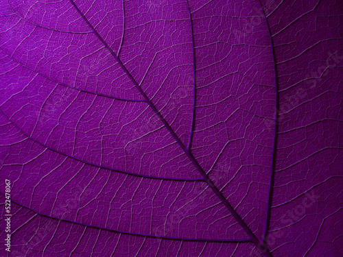 purple leaf texture, natural background