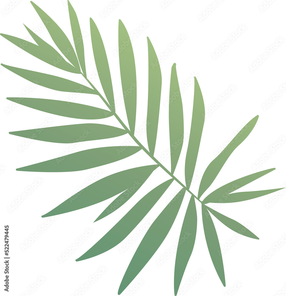 Fototapeta premium Watercolor tropical leaf.