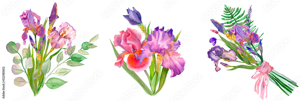Wildflower iris flower in a watercolor style isolated. Delicate bouquet of iris flowers and eucalyptus leaves. Watercolor. Purple iris. Mother's day, plants, floral design, botanical illustration