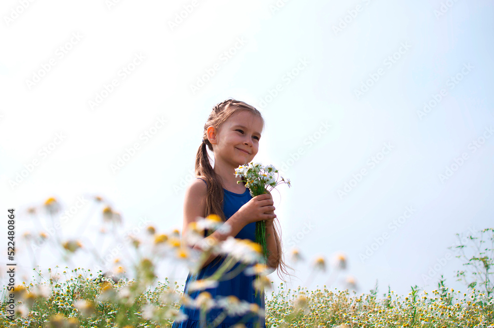 A child with daisies. A sweet little smiling girl on a chamomile field in spring, breathing in fresh air against the background of blue summer peaceful sky. The concept of dreams, freedom and travel A child with daisies. A sweet little smiling girl on a chamomile field in spring, breathing in fresh air against the background of blue summer peaceful sky. The concept of dreams, freedom and travel