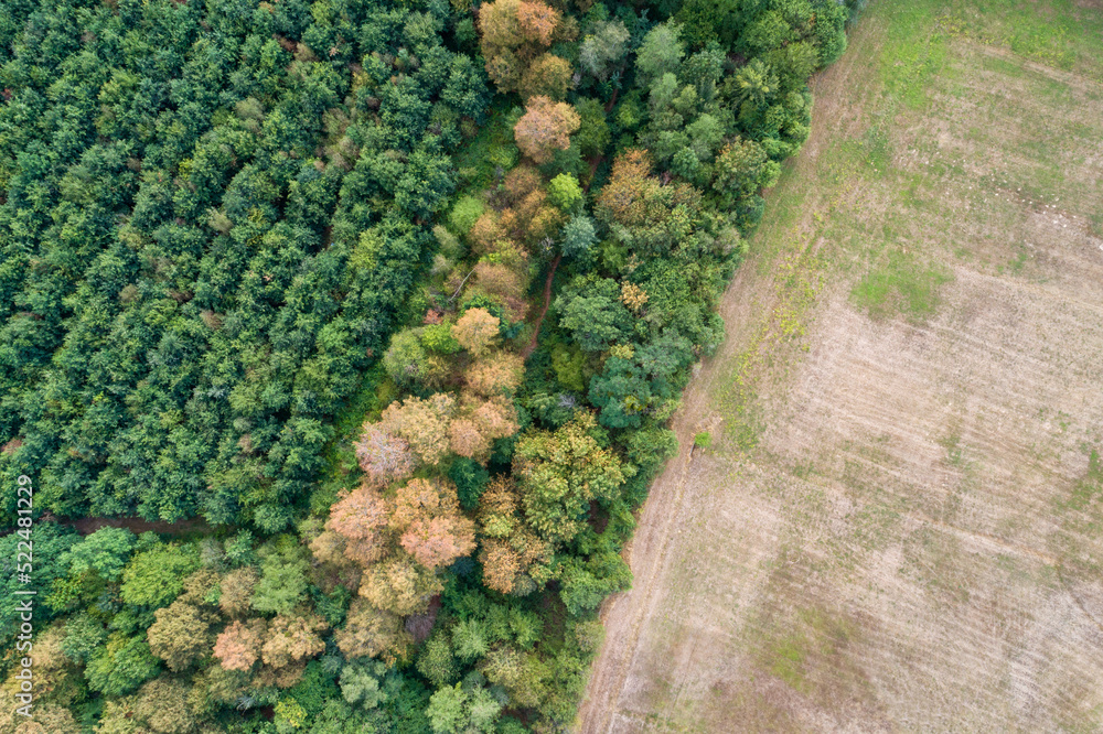 Lisière de forêt en Île-de-France, vue du ciel Stock Photo | Adobe Stock