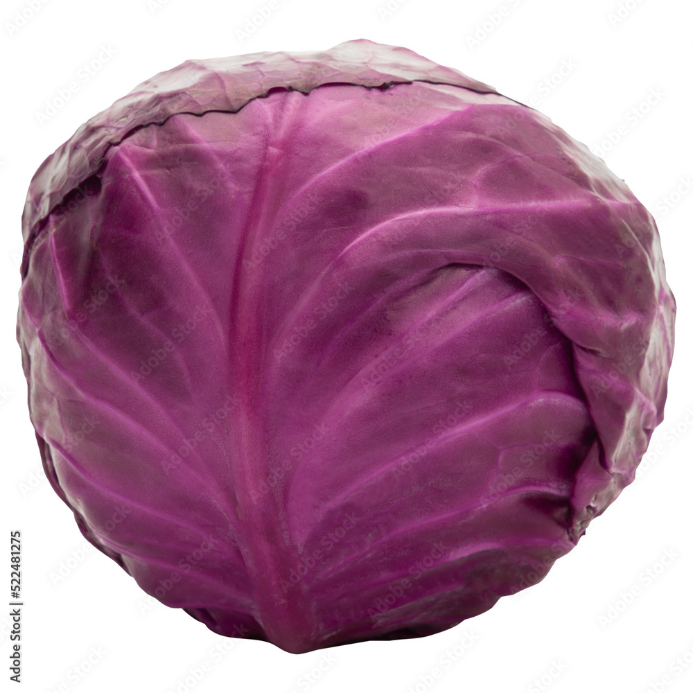 Obraz premium Red Cabbage mockup, Cutout.