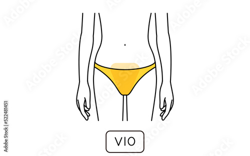 女性の脱毛イラスト　パーツ別、VIO