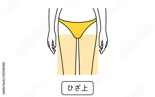 女性の脱毛イラスト　パーツ別、ひざ上