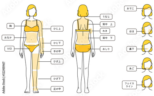 女性の脱毛イラスト　全身と顔