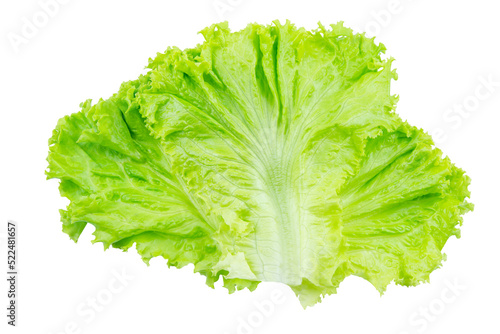 Lettuce. Salad leaf isolated on white background with clipping path