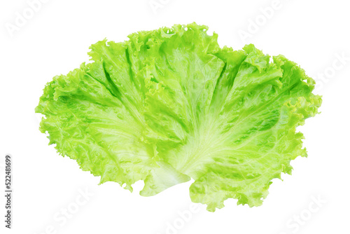 Lettuce. Salad leaf isolated on white background with clipping path