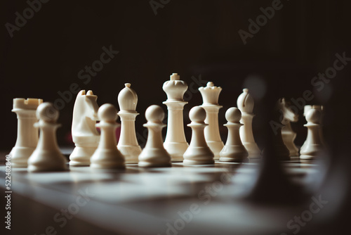 chess pieces on the board © ghasiq