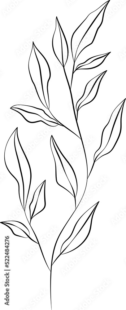 Naklejka premium collection forest fern eucalyptus art foliage natural leaves herbs inline style. Decorative beauty, elegant illustration Vector Flower Botanical