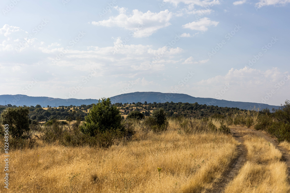 Paysage de randonnée en Espagne le long d'un sentier pédestre bordé d'arbre Paysage de randonnée en Espagne le long d'un sentier pédestre bordé d'arbre