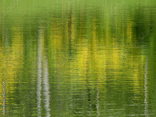 colorful water reflection of tree in the pond at spring