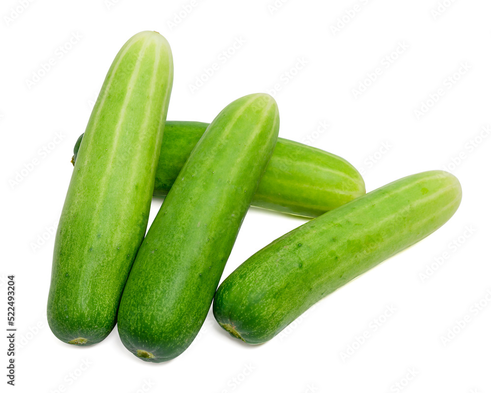 Fresh cucumber vegetable isolated on white background Fresh cucumber vegetable isolated on white background