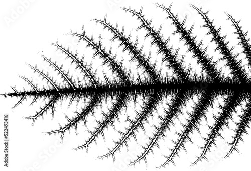 abstract vein of dry leaf isolated on white background