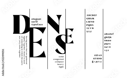Classic Modern Poster Designs Concept. Typography serif font set. vector illustration
