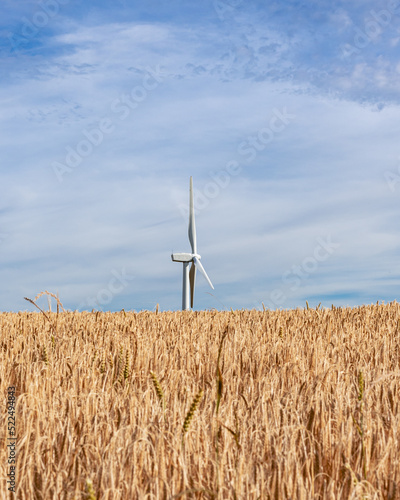 wind turbine in the field