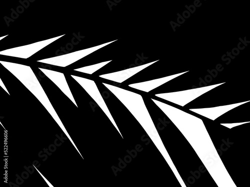 silhouette of palm leaf isolated on white background