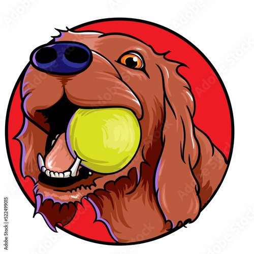 cane