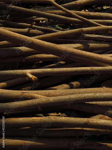 pile of dry branch tree on the ground