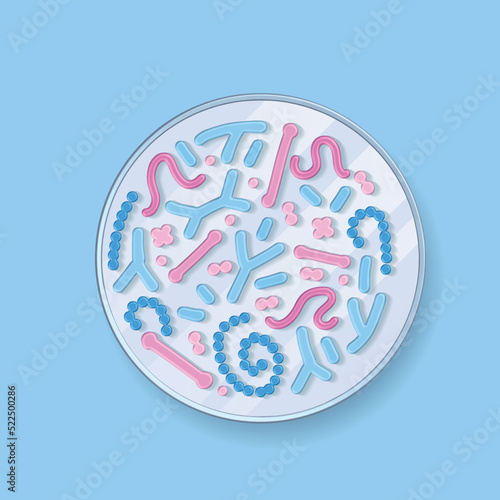 Bacteria gram. 3d render top view petri dishe with different colorful microorganisms, bacillus and germs. Microbiology and bacteriology laboratory tests concept. Vector licrobiome illustration,